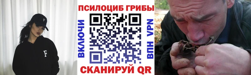 Псилоцибиновые грибы прущие грибы  Орск 