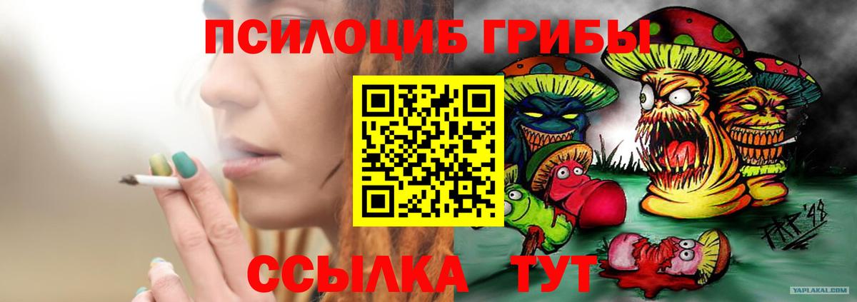 Орск  Псилоцибиновые грибы мухоморы  как найти закладки  Вход с VPN 